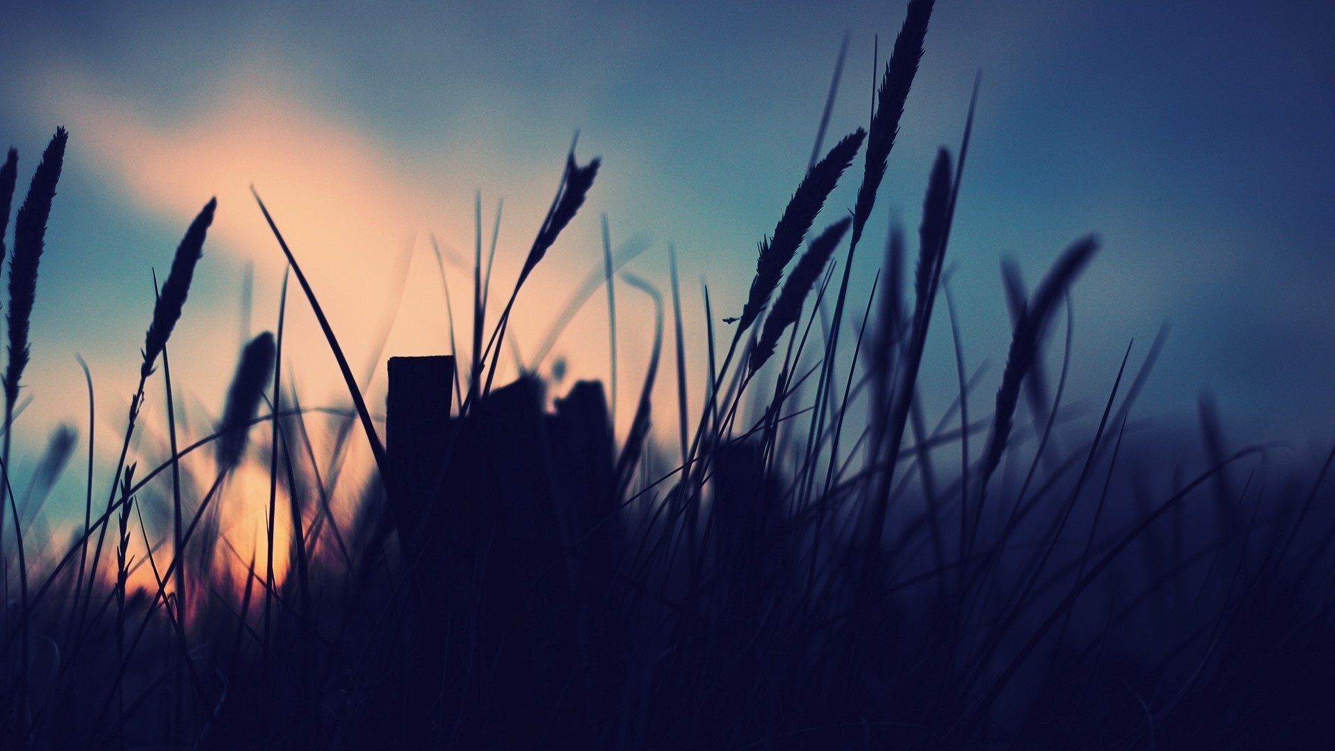 Anyaman Bambu Tradisional