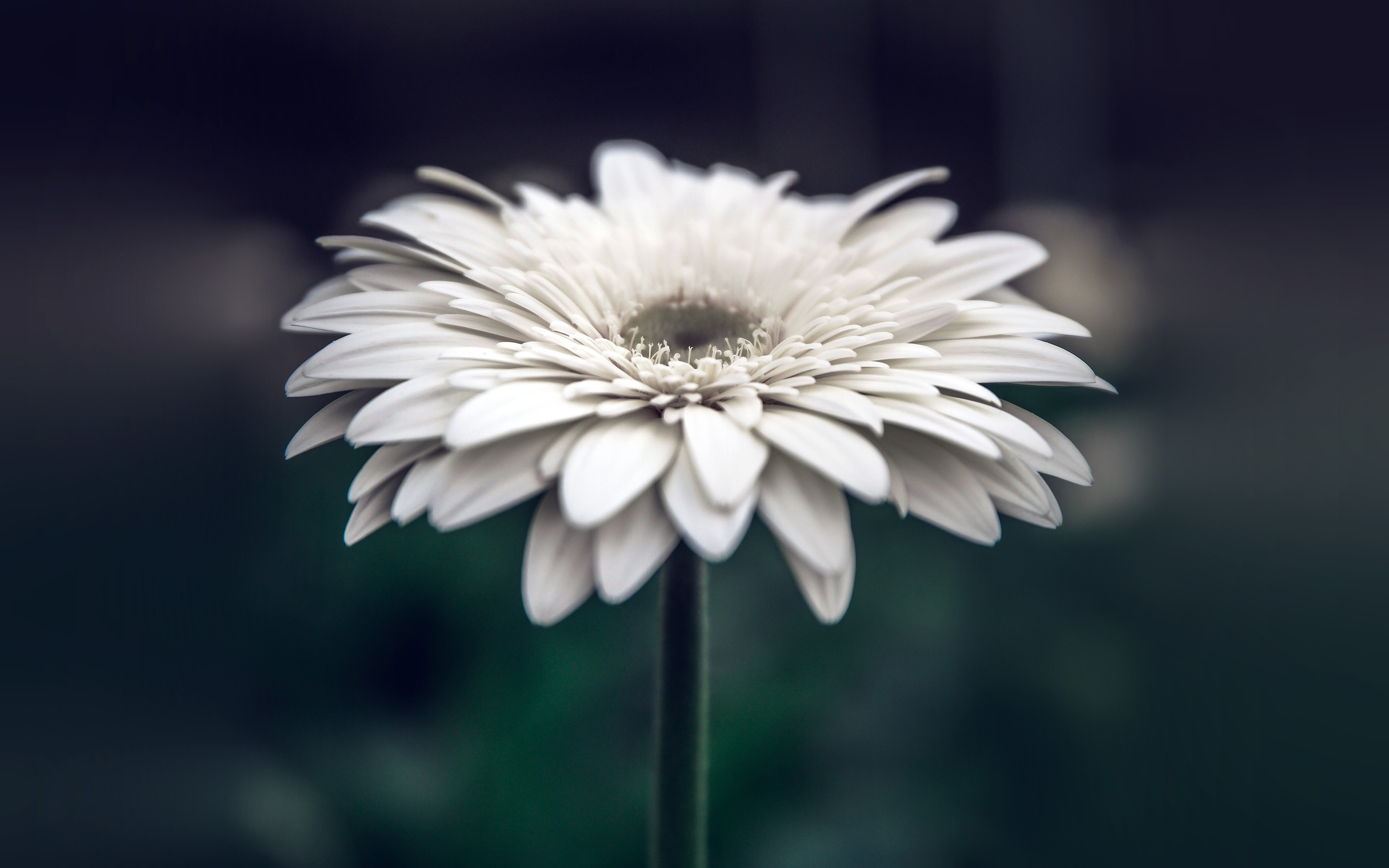 Ekowisata Air Terjun Bidadari
